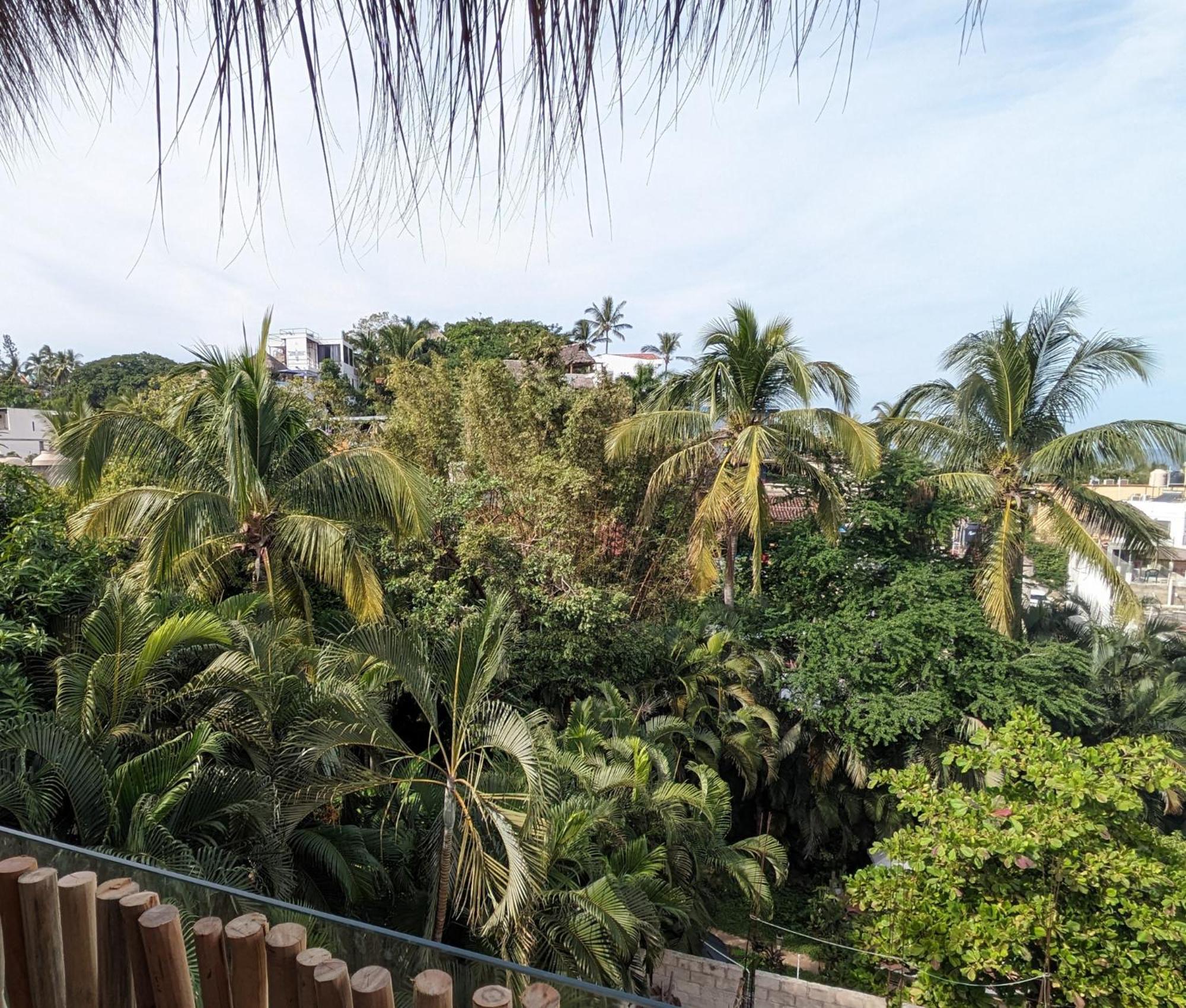Casa Pepe Hotel Sayulita Bagian luar foto